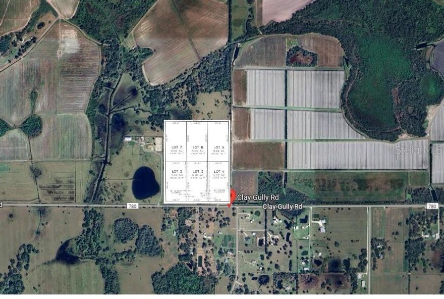 Discover 6 stunning 5-acre lots for sale in the serene setting of Myakka City. Nestled close to the luxury communities on Clay Gully Road, these spacious parcels give the perfect canvas to build your dream home. Enjoy the tranquility of rural living while being just a 40-minute drive from the beautiful Sarasota beaches. These lots provide the best of both worlds—peaceful countryside charm with easy access to upscale amenities and coastal attractions. Don't miss this rare opportunity to create your ideal retreat in a prime location. Close proximity of Terranova Ranch. These lots do not belong in any particular sub division.
