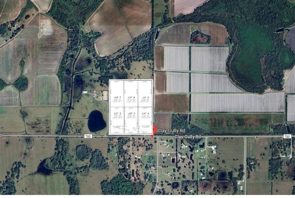 Photo of 37801 Clay Gully Road, Myakka City, FL 34251 (MLS # TB8345406)