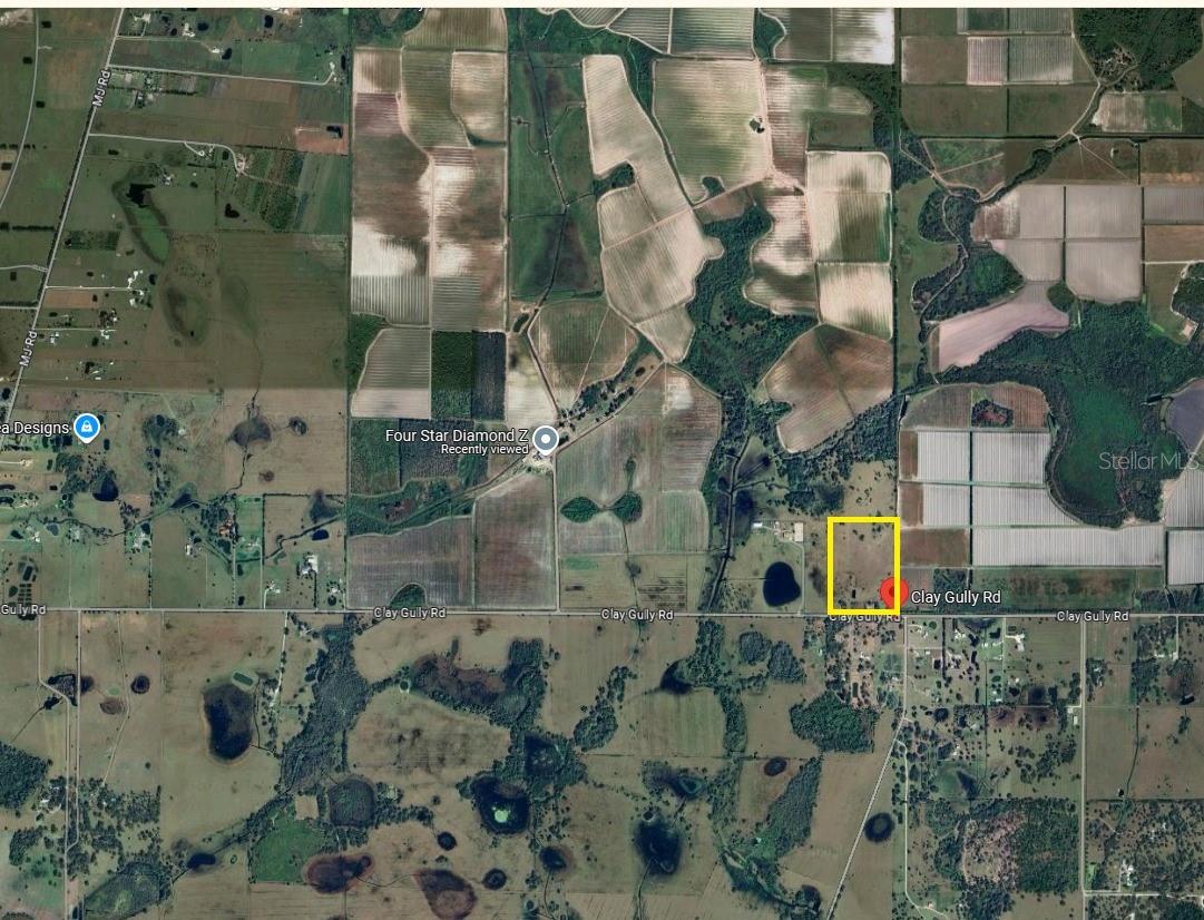 37801 CLAY GULLY ROAD
