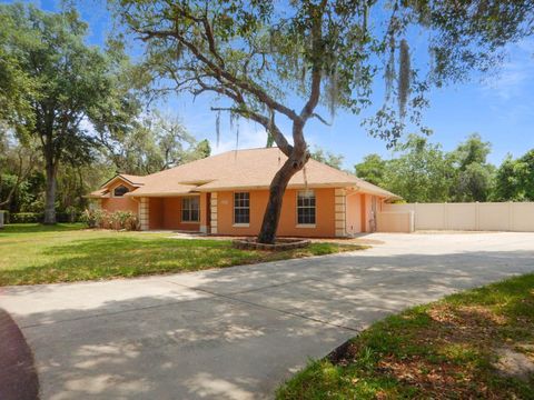 Photo of 32905 Indian Woods Drive, Leesburg, FL 34788 (MLS # O6406190)