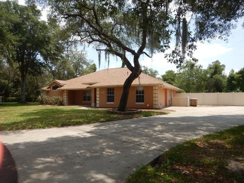 Photo of 32905 Indian Woods Drive, Leesburg, FL 34788 (MLS # O6406190)