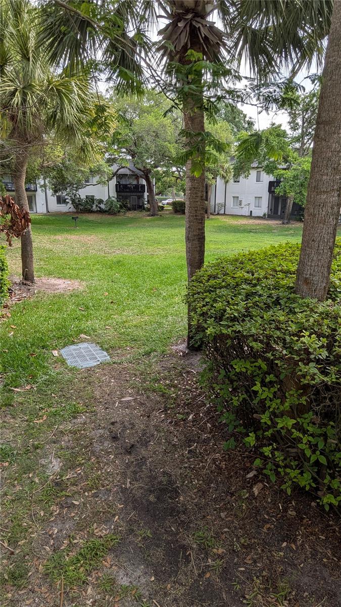 AVALON CONDO - Residential