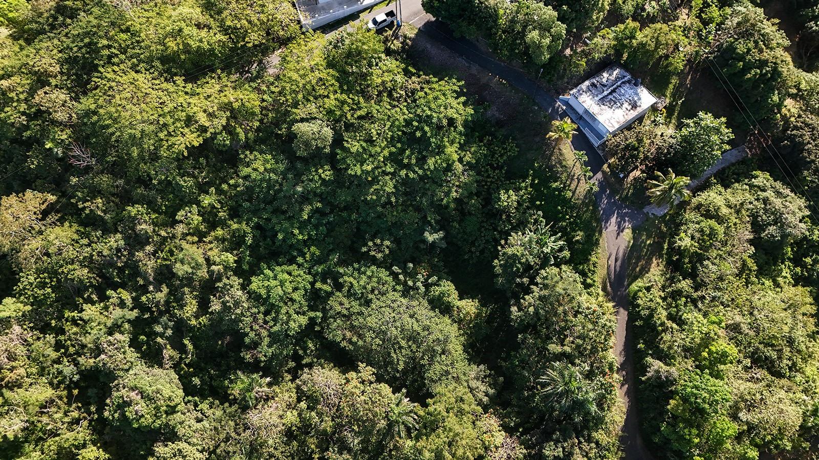 BO. CRUCES CARR 414 KM. HM. 0.5