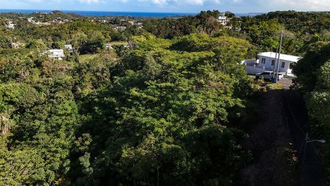 BO. CRUCES CARR 414 KM. HM. 0.5 RINCON  00677