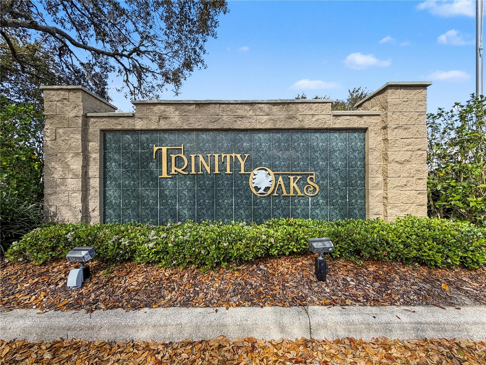TRINITY OAKS SOUTH - Residential