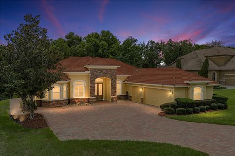 Photo of 13140 Tradition Drive, Dade City, FL 33525 (MLS # TB8529985)