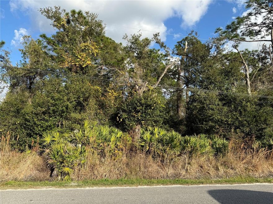 Great investment opportunity! This .416-acre vacant parcel west of DeLand, FL is located in a growing area with nearby residential and commercial development. Excellent opportunity for future development or long-term appreciation. Additional adjacent .25-acre parcel also available, purchase one or combine both for increased acreage and flexibility. Easy access to nearby amenities and main roads.  Buyer to conduct all due diligence.