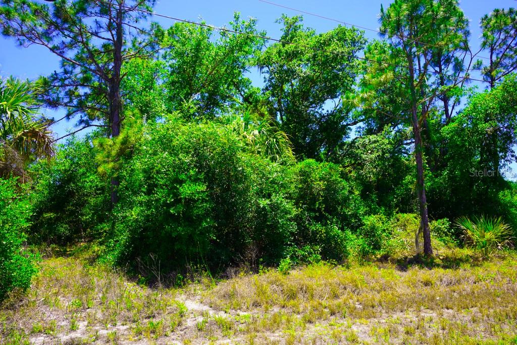 PORT CHARLOTTE SEC 029 - Land