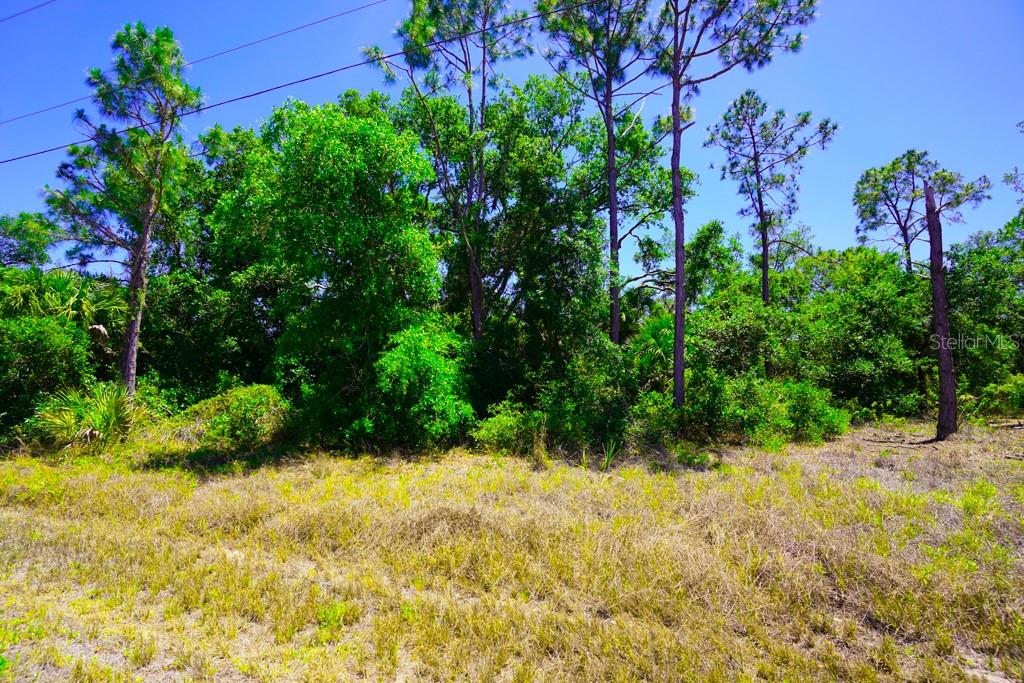 PORT CHARLOTTE SEC 029 - Land