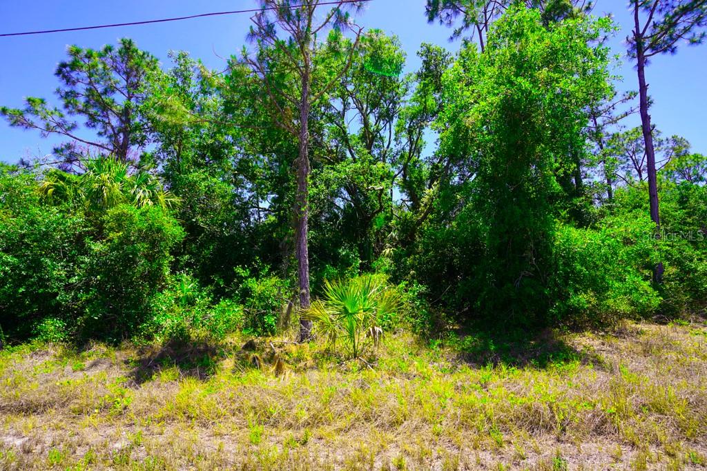PORT CHARLOTTE SEC 029 - Land
