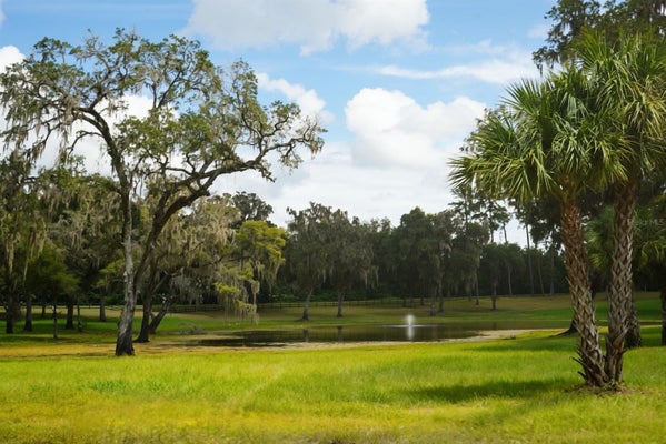 NW 160TH ST, REDDICK, FL 32686 - Image fdbabf3ce008a6d629307b97dab401ec/3432073618
