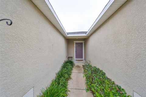 A home in APOLLO BEACH