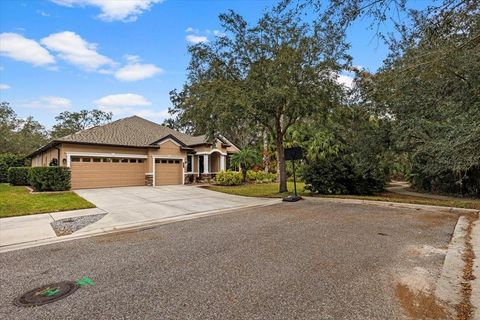 A home in TAMPA