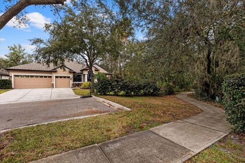 A home in TAMPA