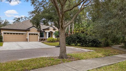 A home in TAMPA