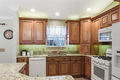 Tiny photo for 9505 SE 171st Argyll St, The Villages, FL 32162 (MLS # OM718834)