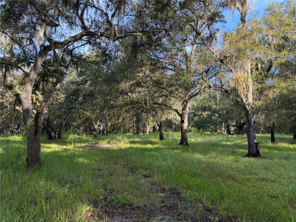 Photo of 1284 NE River Mill Drive, Arcadia, FL 34266 (MLS # C7530015)