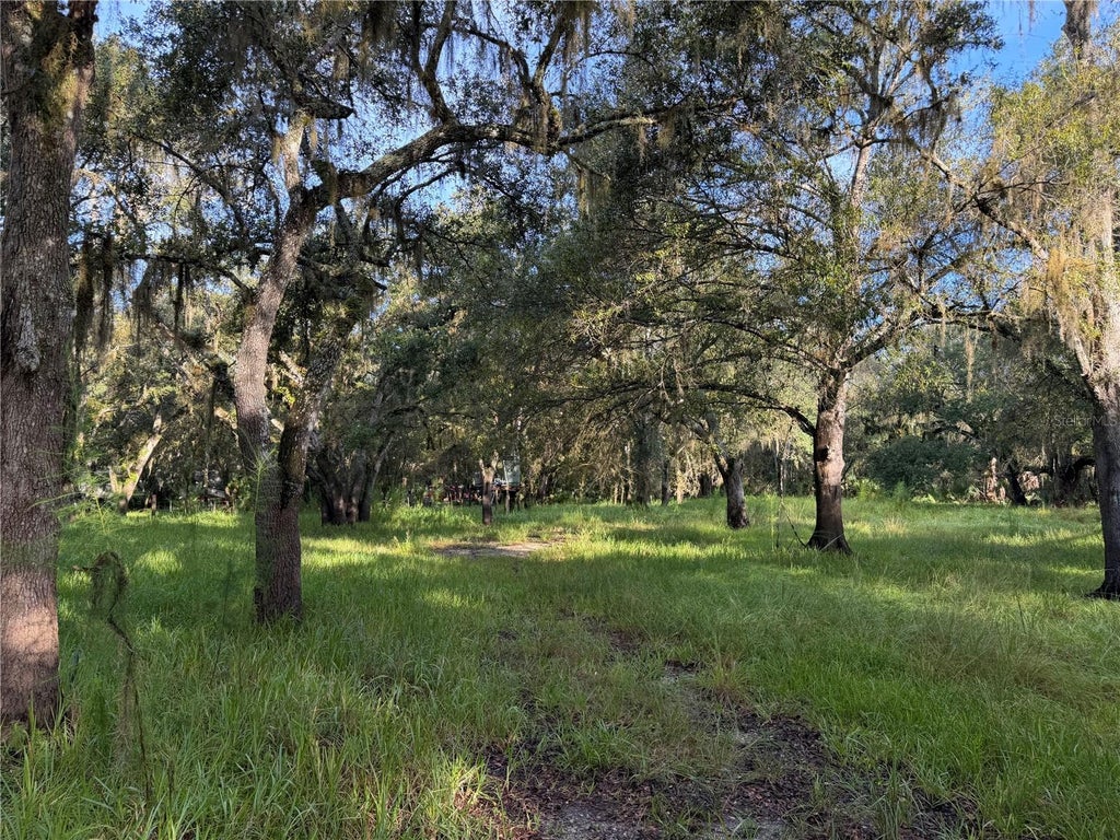 Photo of 1284 NE River Mill Drive, Arcadia, FL 34266 (MLS # C7530015)