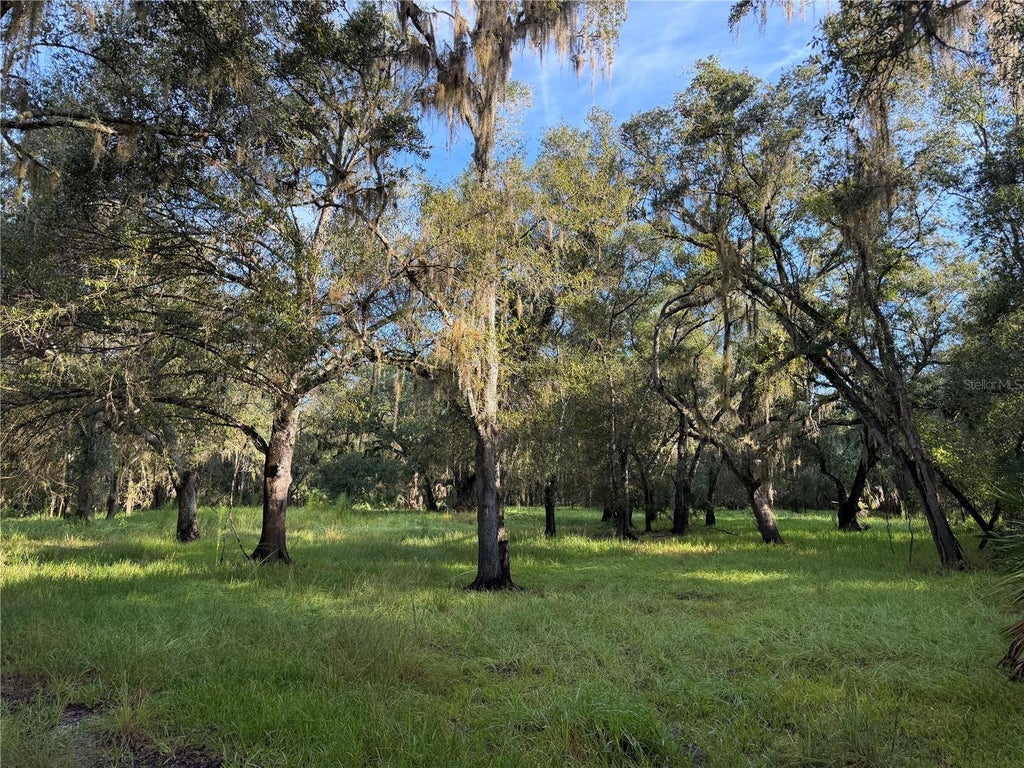 Photo of 1284 NE River Mill Drive, Arcadia, FL 34266 (MLS # C7530015)