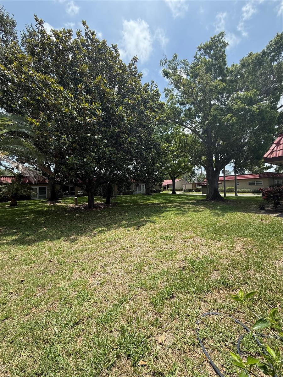 PINEWOOD VILLAGE CONDO - Residential Lease