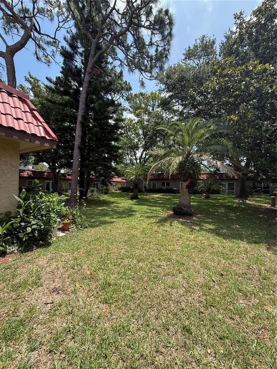 PINEWOOD VILLAGE CONDO - Residential Lease