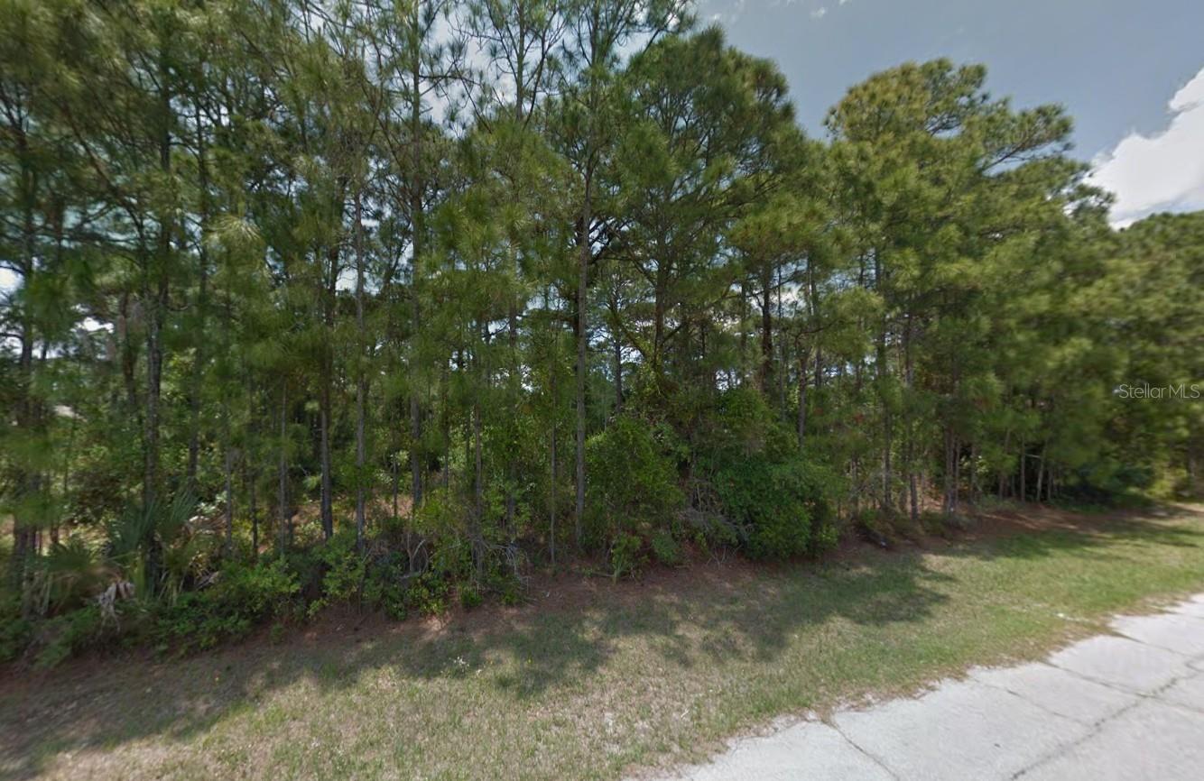 Lot 34 TRINITY STREET, NORTH PORT, FL, 34291 1 Lot 34 TRINITY STREET