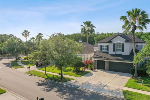 A home in TAMPA