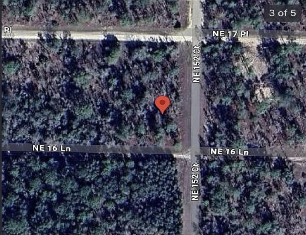 Photo of 0 NE 16th Place, Williston, FL 32696 (MLS # A4683956)