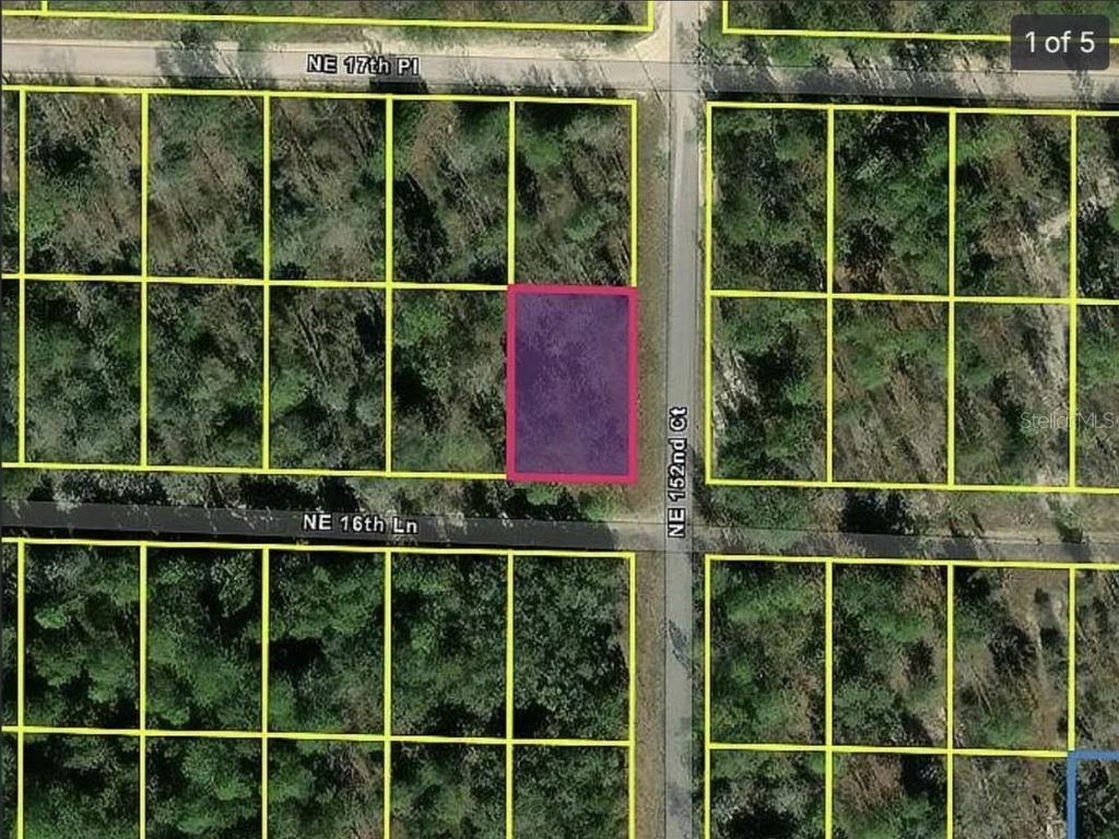 Photo of 0 NE 16th Place, Williston, FL 32696 (MLS # A4683956)