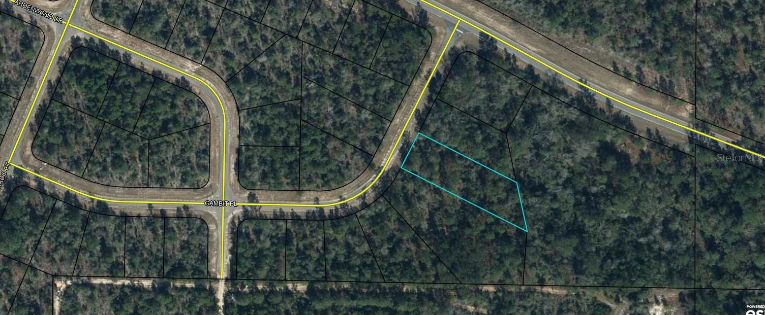 OVERSIZED Lot in Sunny Hills! Under Market