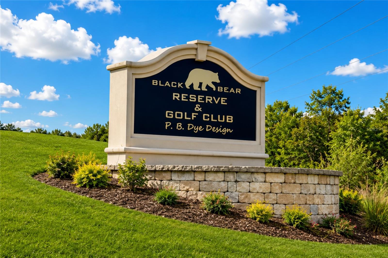 VILLAGE AT BLACK BEAR - Residential
