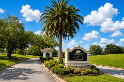 Tiny photo for 24600 Calusa Boulevard, Eustis, FL 32736 (MLS # O6411516)