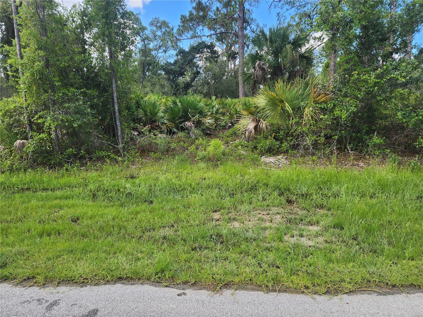Great lot in Northwest Port Charlotte, Minutes to both Port Charlotte and North Port shopping, restaurants, Tampa Rays and Atlanta braves spring training stadiums and Wellen Park
NOT in Scrub jay area per county website 7/27/2025