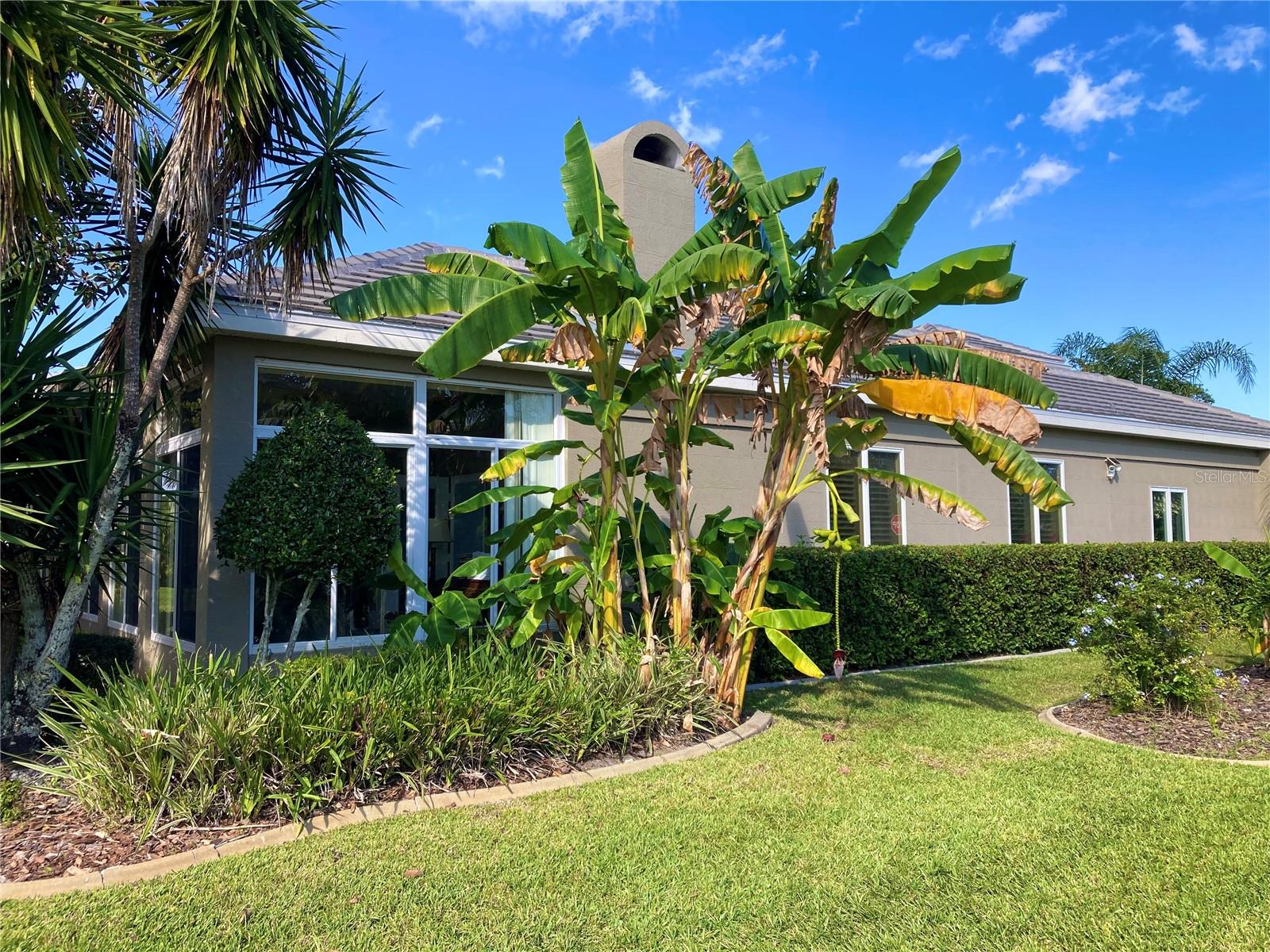 PLANTATION BAY - Residential