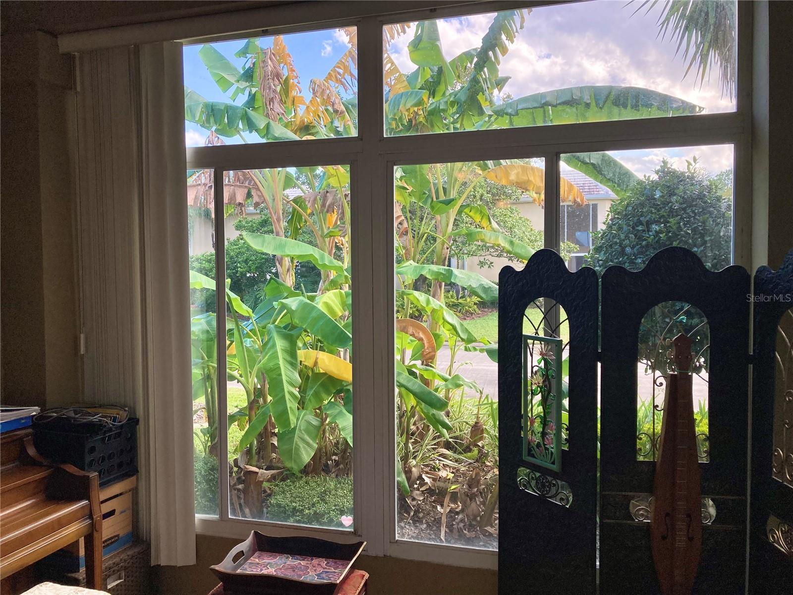 PLANTATION BAY - Residential