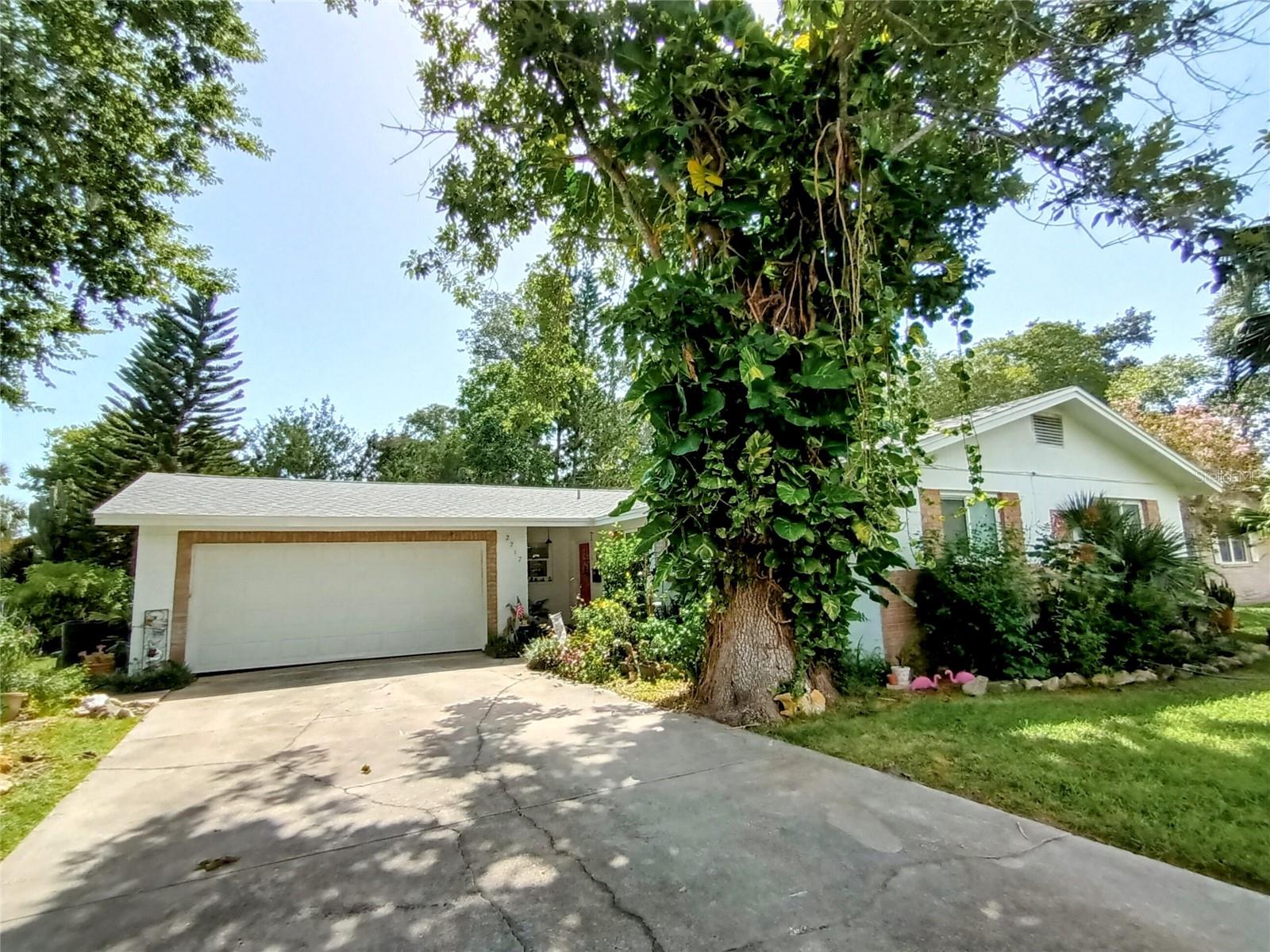 Brand New Roof just installed July 2025!! Welcome to this 3-bedroom, 2-bathroom home, where you will enjoy a park-like backyard oasis! No HOA!! This home offers new appliances, new cabinets, fresh paint, and a spacious living room. There's plenty of room for the whole family to gather and make memories. The flex space has a brand new 10,000 BTU window unit, with remote control to has endless possibilities—use it as an office, playroom, extra bedroom, or a cozy Florida room. Enjoy cooking in the stylish kitchen while your friends and family relax at the dining room table, making every meal a shared experience. The bathrooms have also been updated with new cabinets, adding a fresh touch to this move-in-ready home. Perfect for families, first-time homebuyers, or even if you are downsizing, this home offers comfort, versatility, and a peaceful outdoor retreat complete with a private well perfect for keeping your garden lush and thriving! Tucked along the Halifax River and just minutes from the beaches, South Daytona offers a quiet, welcoming community with convenient access to coastal living. Known for its relaxed atmosphere, the area features a mix of residential options, local eateries, and outdoor spaces for year-round enjoyment. Many buyers drawn to South Daytona include first-time homeowners and those looking to settle into a smaller, more easygoing neighborhood. Double pane windows installed approx. 15 yrs ago. This home is located close to shopping and schools. All information deemed correct. Buyer to verify all information.