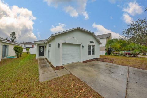 A home in RIVERVIEW