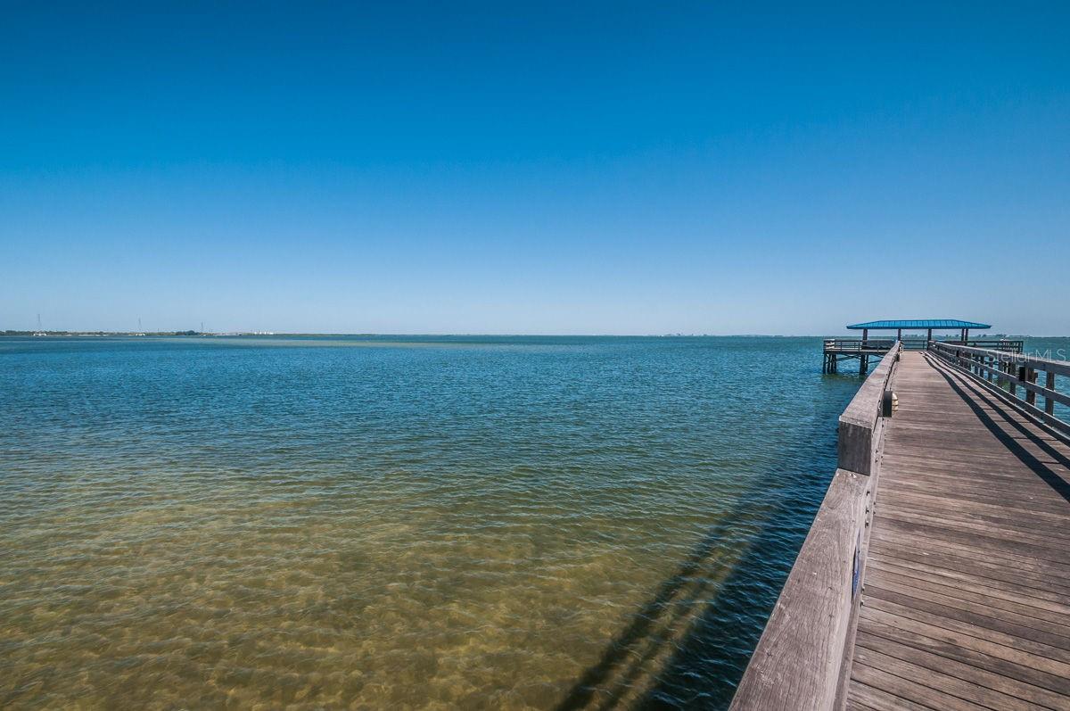 CHEVY CHASE CONDO - Residential