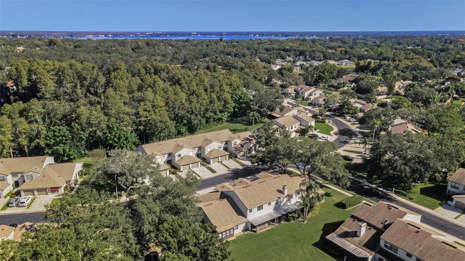 CHEVY CHASE CONDO - Residential