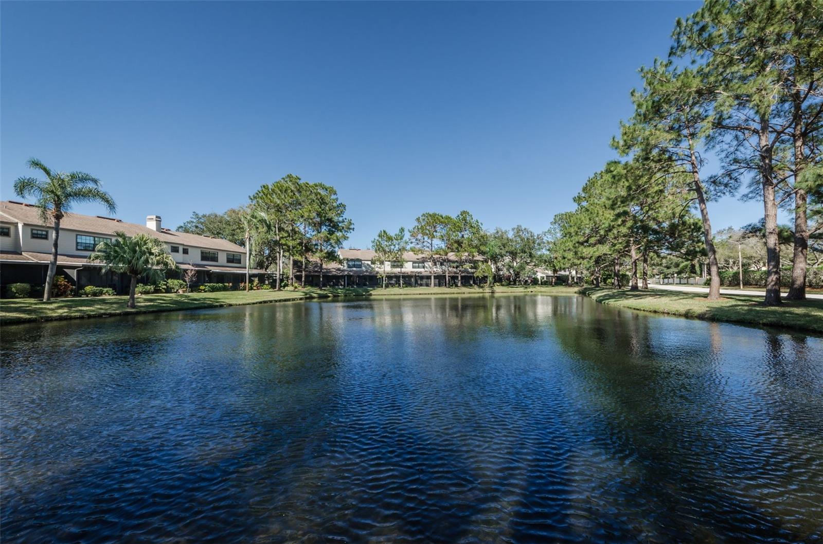 CHEVY CHASE CONDO - Residential