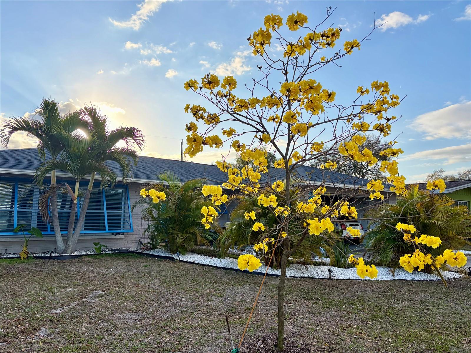 DUNEDIN ISLES ESTATES 1ST ADD - Residential