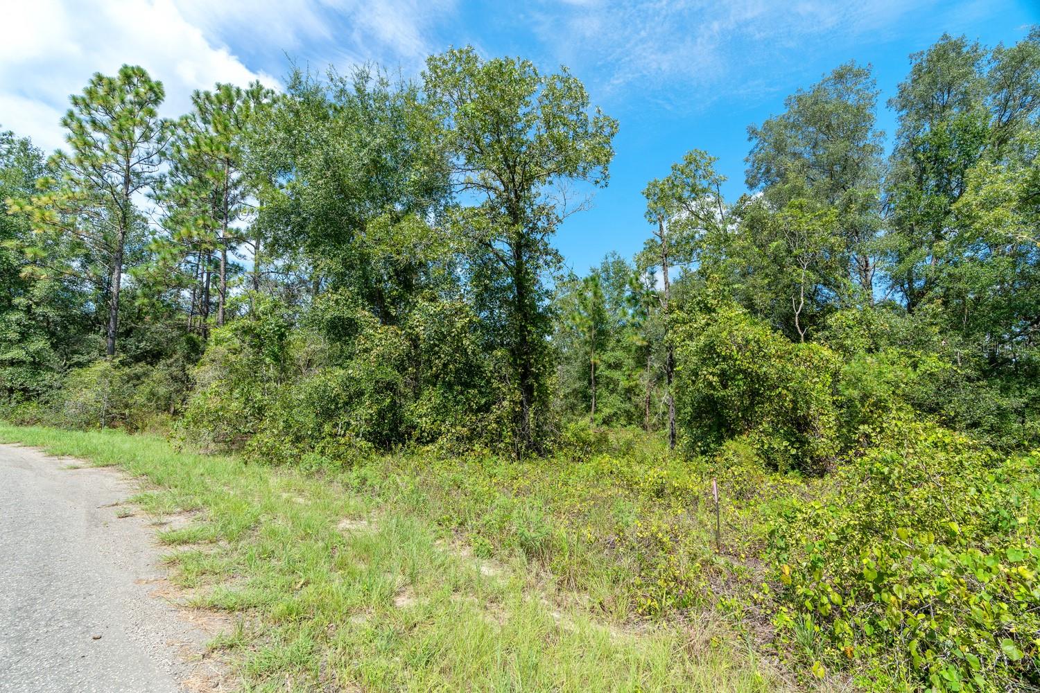 SILVER SPGS SHORES UN 38 - Land