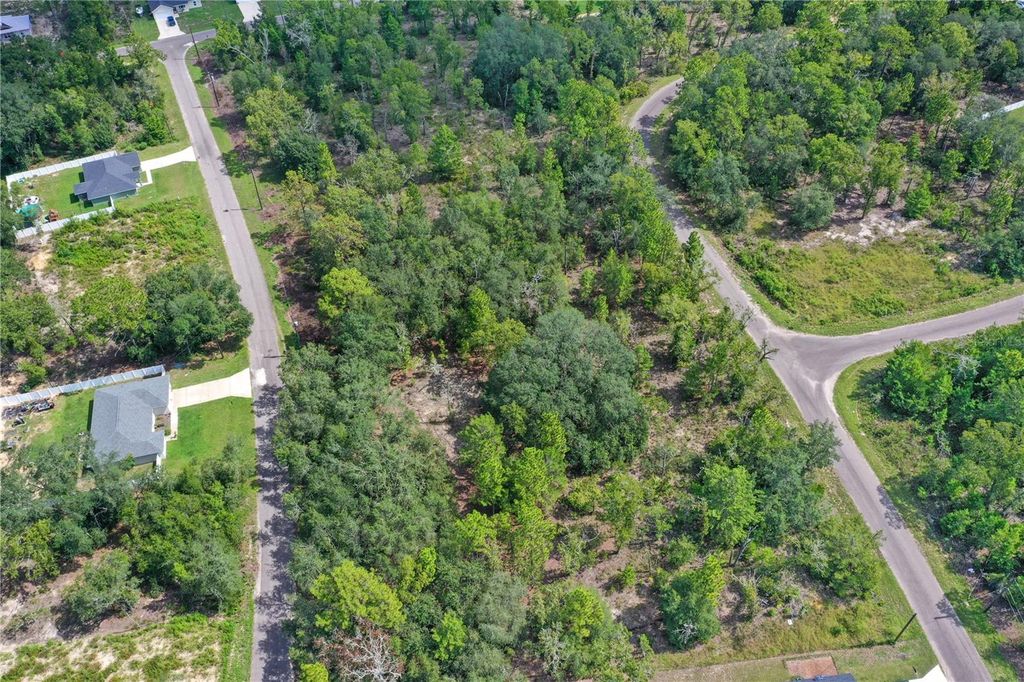 Photo of 24 Guava Pass Drive, Ocklawaha, FL 32179 (MLS # TB8421632)