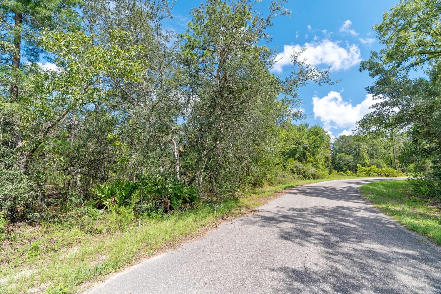 SILVER SPGS SHORES UN 38 - Land