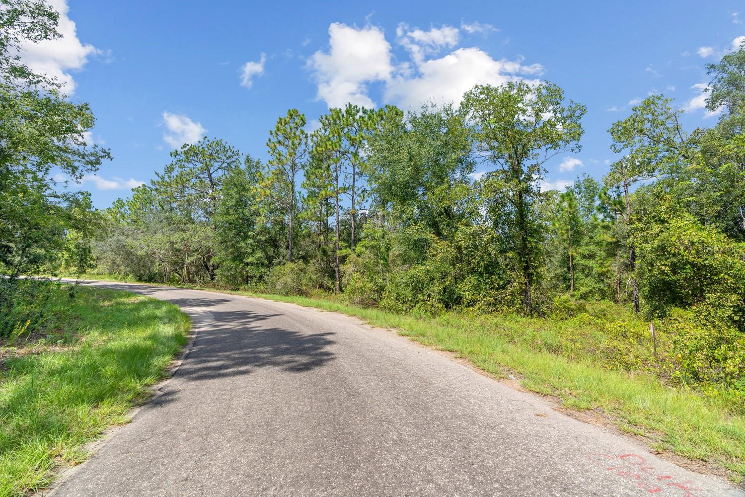 SILVER SPGS SHORES UN 38 - Land