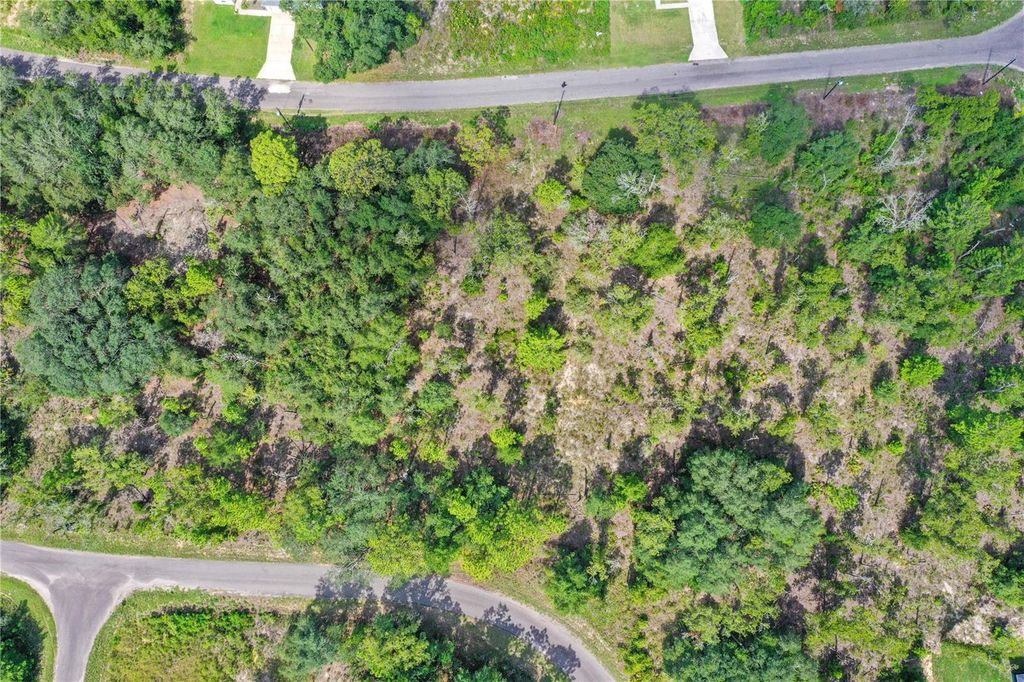 Photo of 24 Guava Pass Drive, Ocklawaha, FL 32179 (MLS # TB8421632)