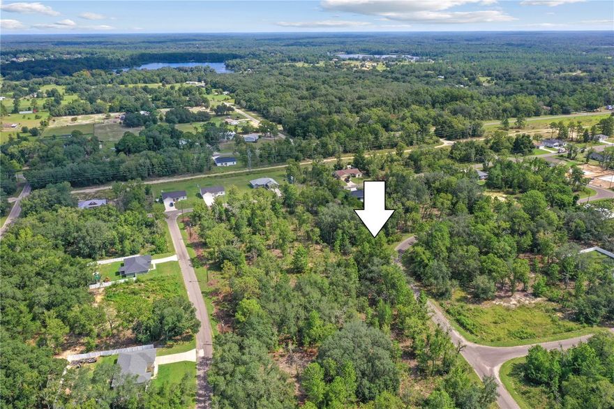 "Build Your Florida Dream in Ocklawaha!"
Discover this .38-acre lightly wooded, buildable lot tucked away in the desirable Silver Springs Shores East community. With new homes being built all over the subdivision, this property offers the perfect opportunity to create your dream residence or invest in a growing area. The lot has never been built on, giving you a fresh start for your vision.
Prime Location, Endless Recreation
Living here means you’ll enjoy easy access to some of Central Florida’s most loved destinations:
Explore the Ocklawaha River, a haven for fishing and boating.
Visit Ma Barker’s historic site, a local landmark rich with history.
Spend weekends kayaking or paddleboarding alongside gentle manatees at Silver Springs.
Take in the beauty of Carney Island Recreation & Conservation Area, offering trails, picnic spots, and lake access.
Unwind at the iconic Gator Joe’s Beach Bar, the perfect spot for waterfront dining and sunsets. With nature, history, and recreation all at your doorstep, this lot offers both tranquility and adventure.
*Highlights*
.38-acre lot in Silver Springs Shores East. 
Marion County boarders The Ocala National Forest.
Never been built on – ready for your vision
Surrounded by new homes being built
Close to lakes, rivers, recreation, and local hot spots
Don’t miss your chance to secure a piece of Ocklawaha’s charm—whether for your forever home, a seasonal retreat, or an investment in Florida’s growing real estate market. Street also known as Guava Place Drive (GIS Map)