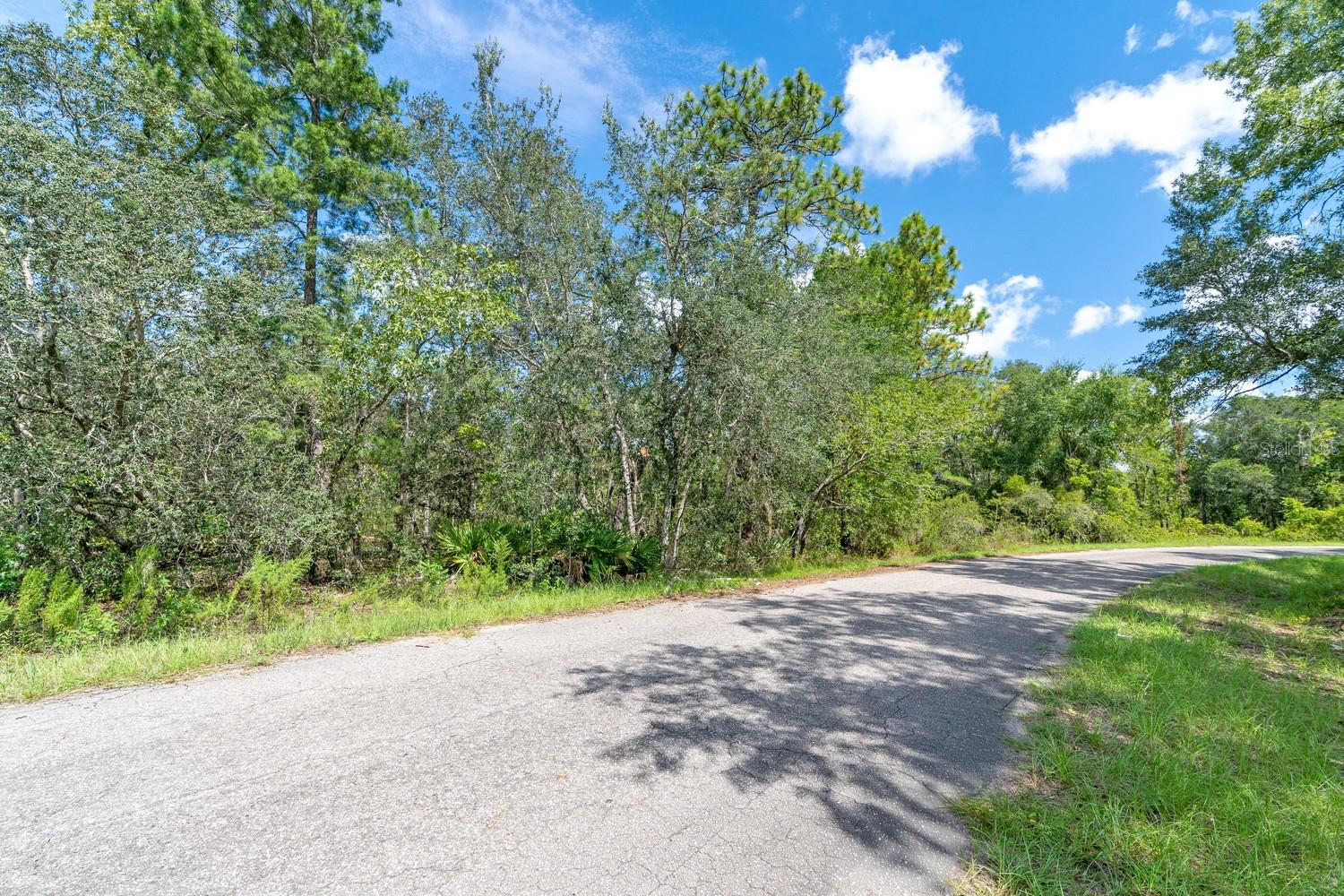 SILVER SPGS SHORES UN 38 - Land