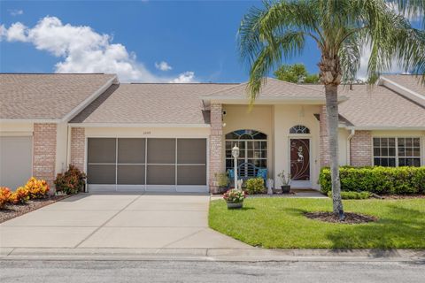 1055 BLYTH HILL COURT TRINITY FL 34655