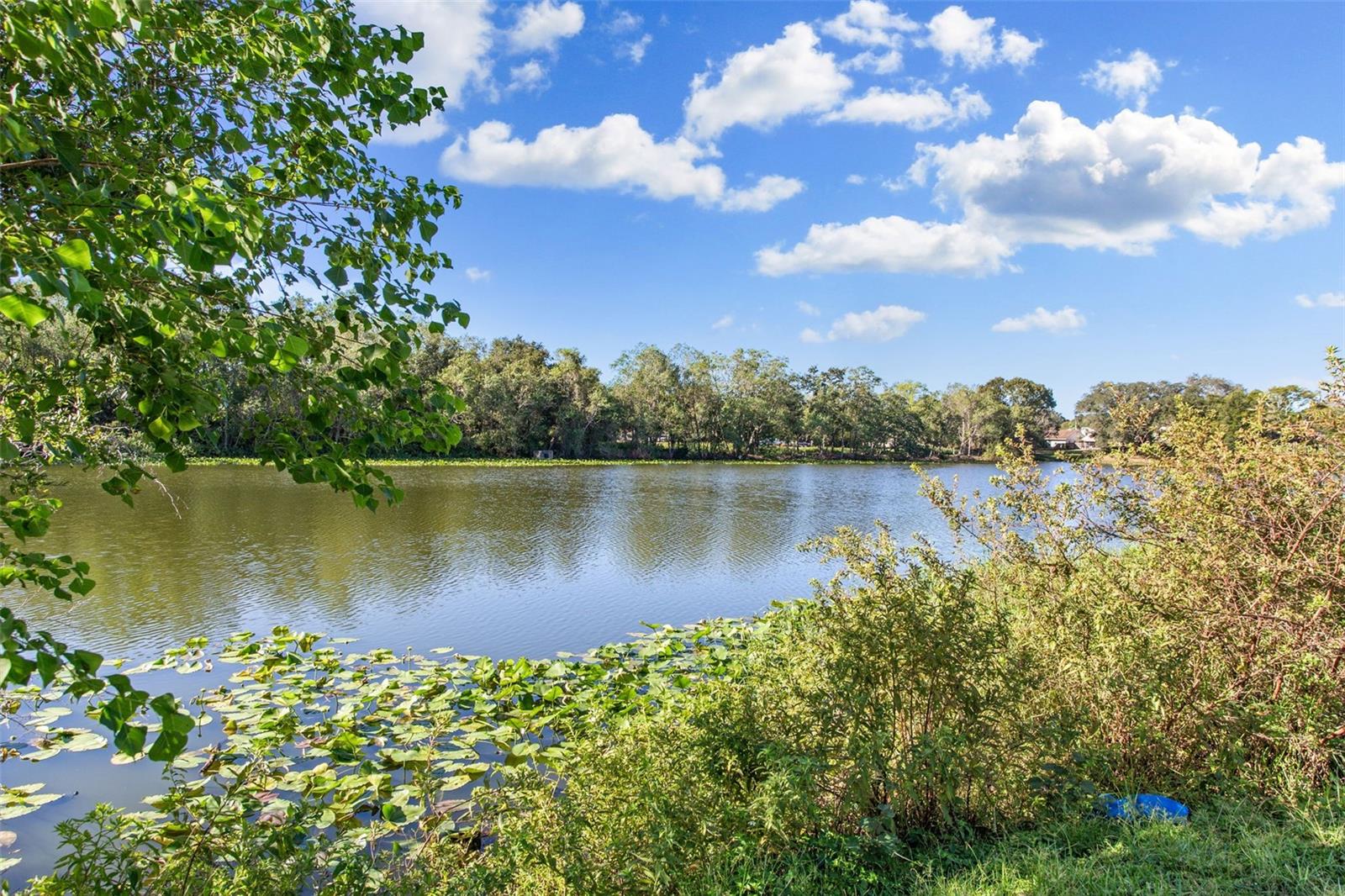 LAKEVIEW VILLAGE SEC L UNI - Residential